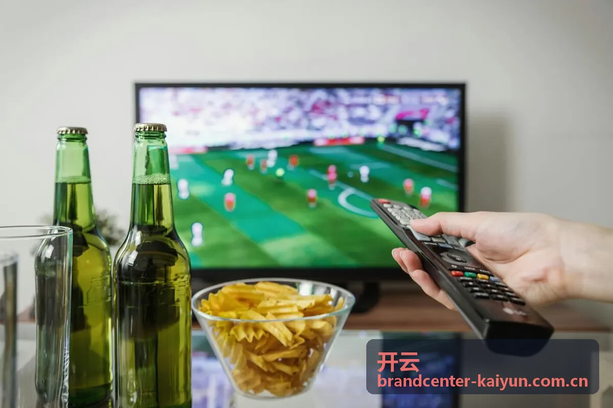 开云精选档案设计语言图